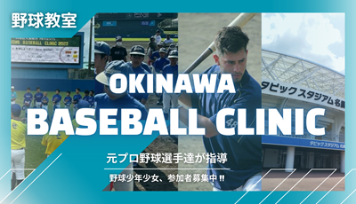 Baseball Clinic Link